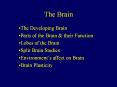 The Brain PowerPoint PPT Presentation