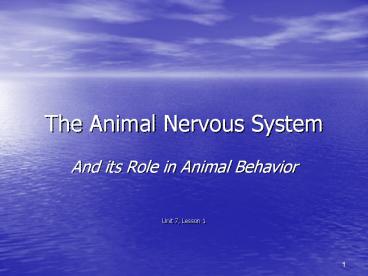 The Animal Nervous System