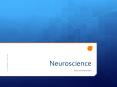Neuroscience PowerPoint PPT Presentation
