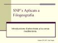 SNP PowerPoint PPT Presentation