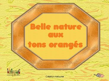 Les kata tjuta ou Monts Olga (Australie)