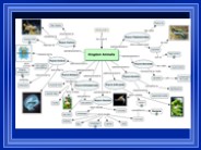Chapter 28 - Arthropods