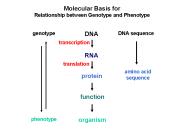 Molecular Basis for