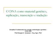 O DNA como material gen