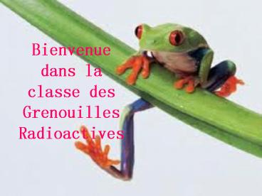 Bienvenue dans la classe des Grenouilles Radioactives