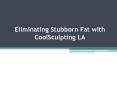 Coolsculpting Los Angeles PowerPoint PPT Presentation