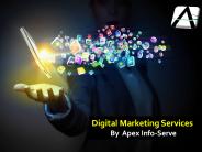 Digital Marketing Consultant - Apex Info-Serve