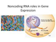 Noncoding RNA roles in Gene Expression