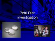 Petri Dish investigation