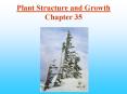 Plant Structure and Growth Chapter 35 PowerPoint PPT Presentation