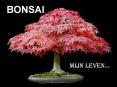 BONSAI PowerPoint PPT Presentation
