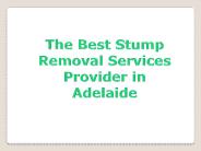 Stump Removal Melbourne