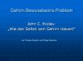 Gehirn-Bewusstseins-Problem PowerPoint PPT Presentation