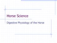 Horse Science