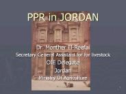 PPR in JORDAN