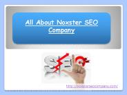 All About Noxster SEO Company
