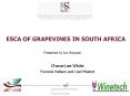 ESCA OF GRAPEVINES IN SOUTH AFRICA PowerPoint PPT Presentation