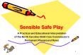Sensible Safe Play PowerPoint PPT Presentation