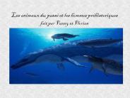 Les animaux du pass
