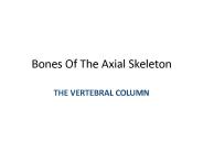 Bones Of The Axial Skeleton