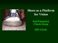 Shoes as a Platform for Vision Paul Fitzpatrick Charles Kemp MIT CSAIL PowerPoint PPT Presentation