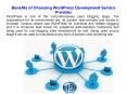Benefits of Choosing WordPress Development Service Provider PowerPoint PPT Presentation