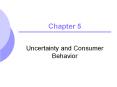 Uncertainty and Consumer Behavior PowerPoint PPT Presentation