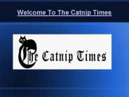 Tips For Common Cat Behavior