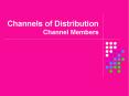 Channels of Distribution Channel Members PowerPoint PPT Presentation