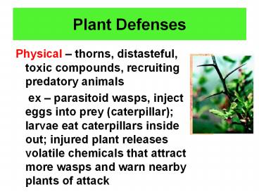 Plant Defenses