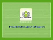 Domestic Helper Agency
