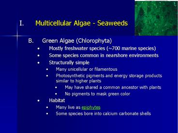 Multicellular Algae - Seaweeds