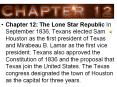 Chapter 12: The Lone Star Republic In September 1836, Texans elected Sam Houston as the first president of Texas and Mirabeau B. Lamar as the first vice president. Texans also approved the Constitution of 1836 and the proposal that Texas join the United PowerPoint PPT Presentation