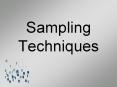 Sampling Techniques PowerPoint PPT Presentation