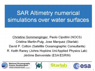 SAR Altimetry numerical simulations over water surfaces