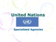 United Nations PowerPoint PPT Presentation