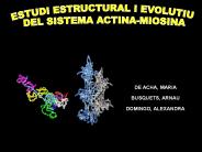 Diapositiva 1
