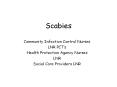 Scabies PowerPoint PPT Presentation