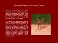 Mosquito Racket Kills Insect Easily PowerPoint PPT Presentation