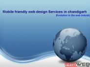 Mobile Friendly Web Design Services in Chandigarh