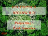 HET TROPISCH REGENWOUD