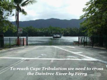 To reach Cape Tribulation we need to cross