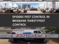 Spiders Pest control in Brisbane thirstypest control PowerPoint PPT Presentation