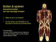 Botten
