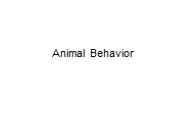Animal Behavior