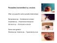 Parasites transmitted by vectors PowerPoint PPT Presentation