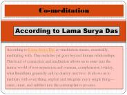 Co-meditation According to Lama Surya Das