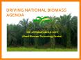 DRIVING NATIONAL BIOMASS AGENDA PowerPoint PPT Presentation