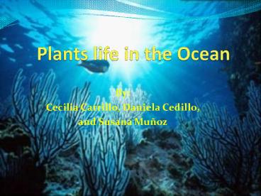 Plants life in the Ocean