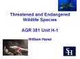 Threatened and Endangered Wildlife Species AGR 381 Unit H-1 PowerPoint PPT Presentation